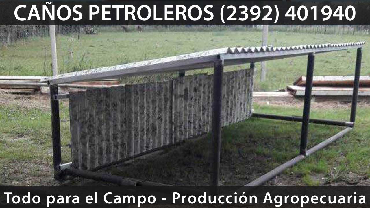 campo